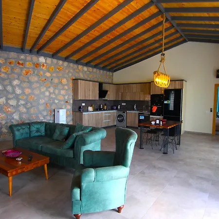 Sevgi Villa *